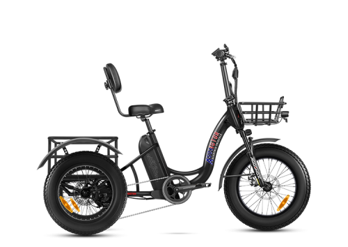 AddMotor Triketan M330 Mini